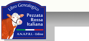 logo servizi online